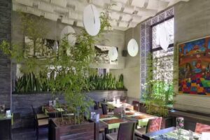 Edo Fusion Asian Cuisine & Ramen