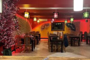 🇻🇳 HA NOI 🇻🇳 Dębowa łęka 🇵🇱