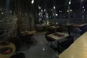 Hoshi Sushi Japanese Restaurant & Sushi Bar