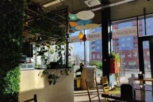 Jungle – Kuchnia Azjatycka