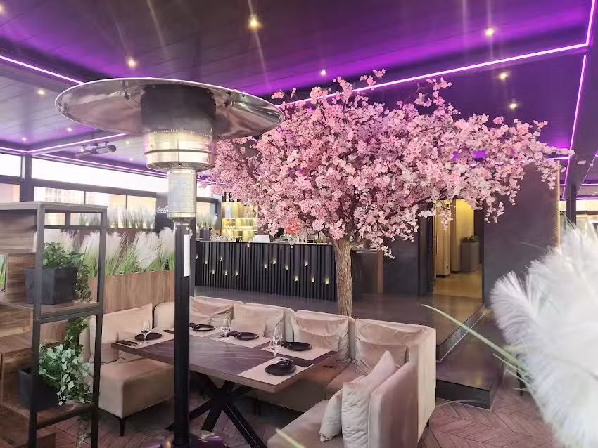 Madara Restauracja Japońska