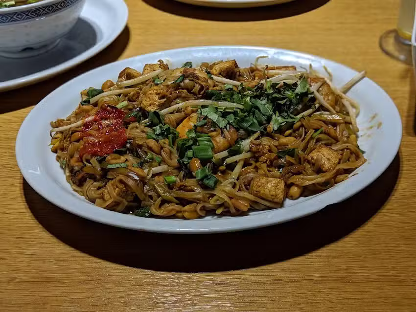 Orientacja