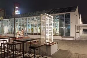 Para Para Dim Sum i Sushi Ogrody Ulricha