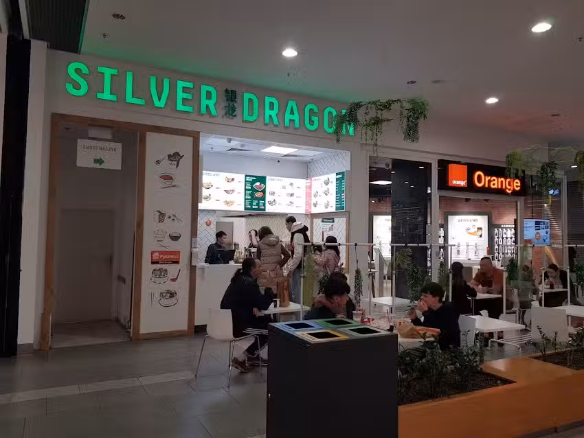 Silver Dragon