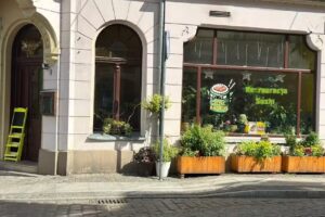 Sushi Grudziądz Dziki Bambus