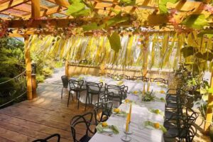 WOK Asian Food &ndash; Sushi i Kuchnia Azjatycka